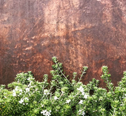 Copper Exterior